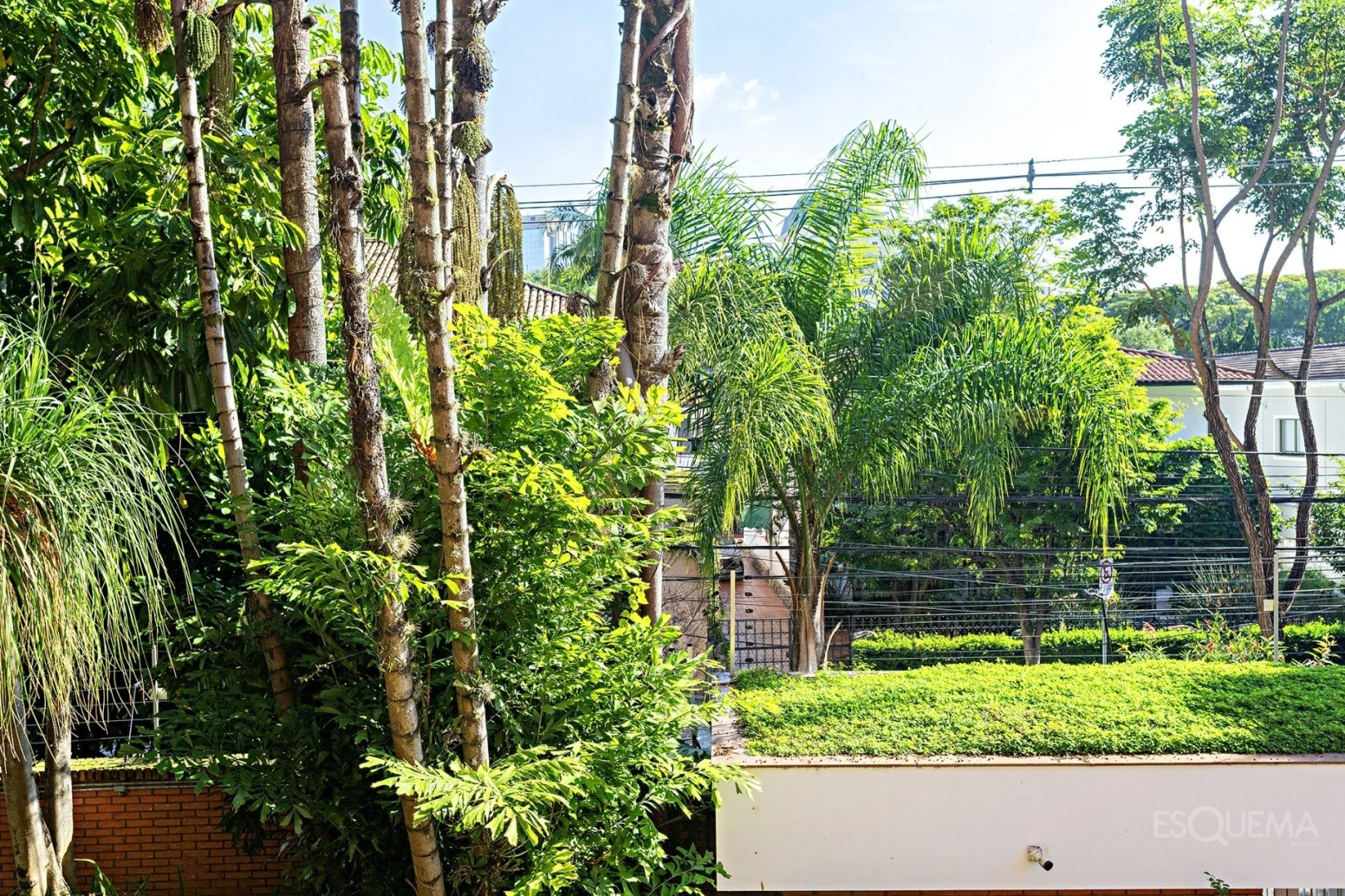 Apartamento reformado com atmosfera de casa e vista para o verde - Imagem 11