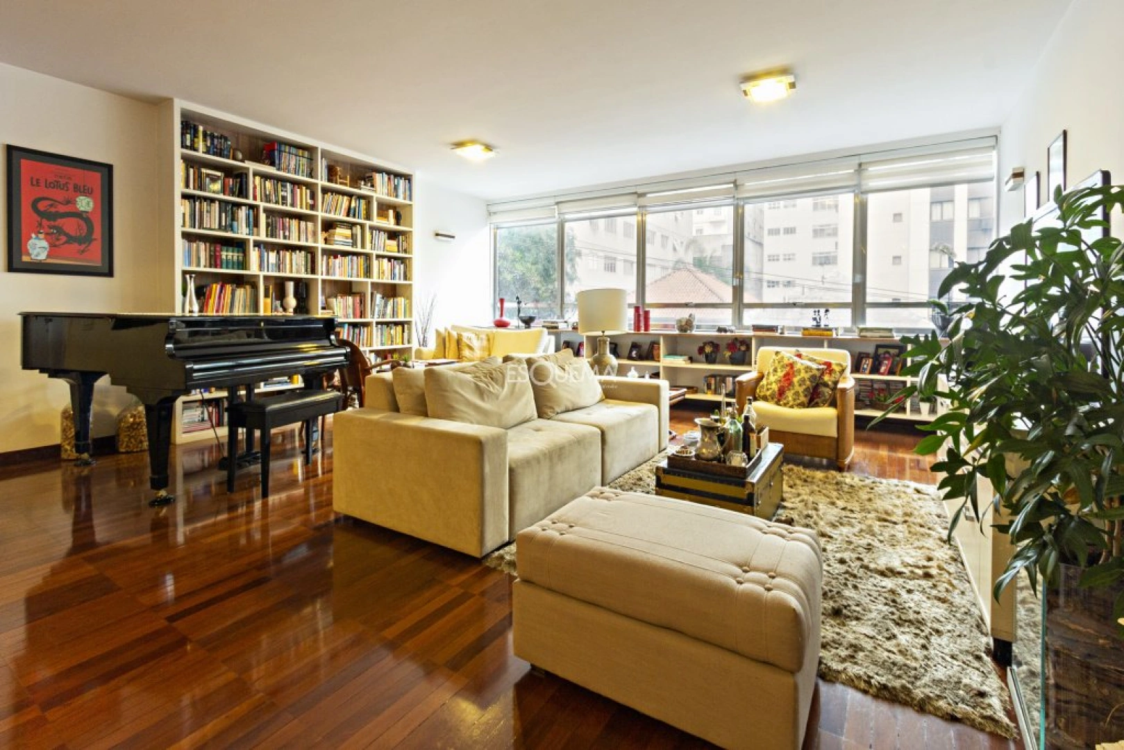 Apartamento amplo para modernização no Jardim América - Imagem 3