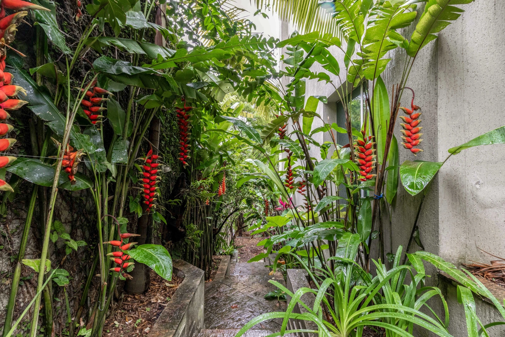 Casa com amplo espaço em rua fechada - Imagem 7